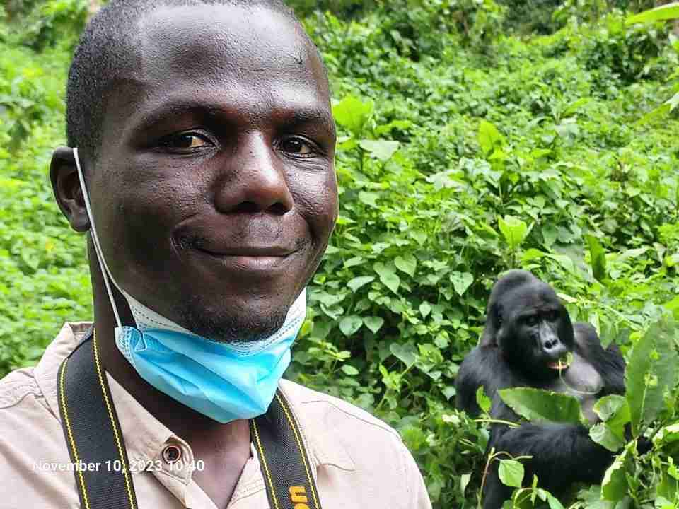up-close with the Mountain Gorillas